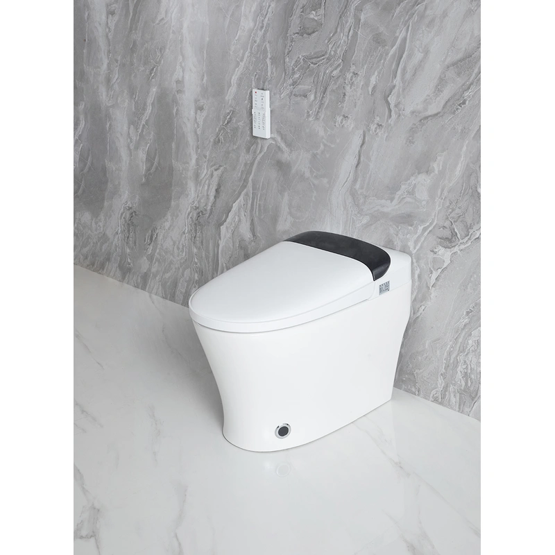 fully skirted toilet, luxury smart wc