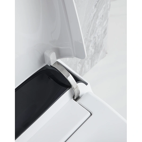 fully skirted toilet, luxury smart wc