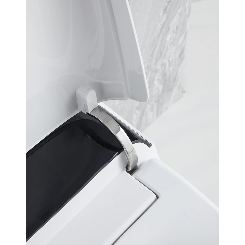 fully skirted toilet, luxury smart wc