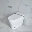 Floor Mounted White Smart Toilet Supplier