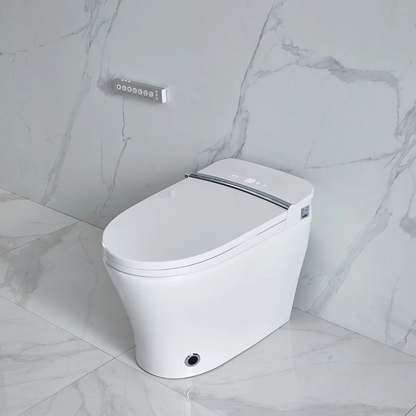 Floor Mounted White Smart Toilet Supplier