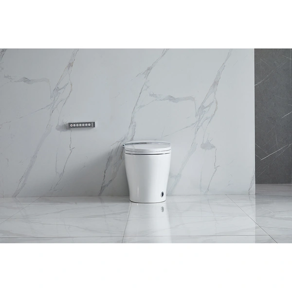 Floor Mounted White Smart Toilet Supplier