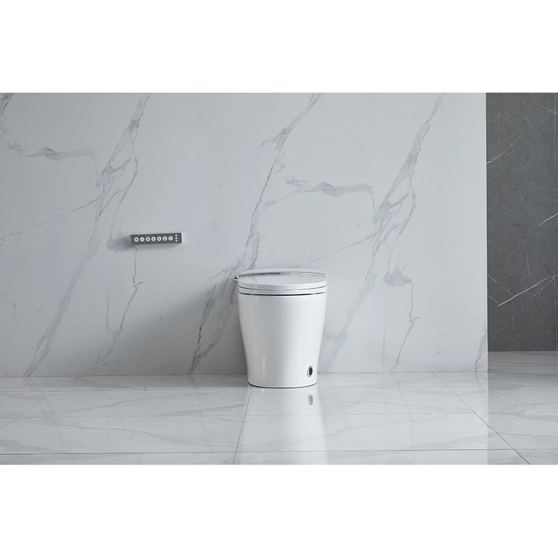 Floor Mounted White Smart Toilet Supplier