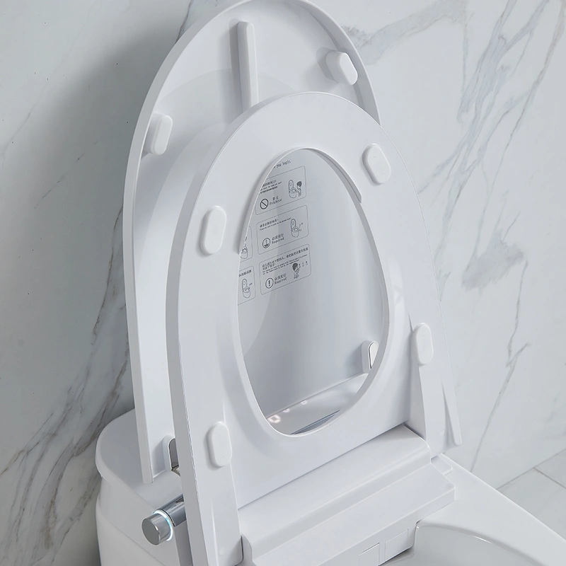 Floor Mounted White Smart Toilet Supplier