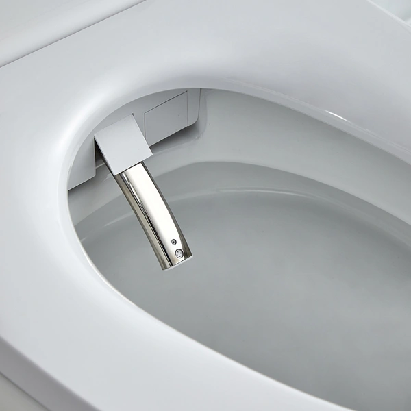 Floor Mounted White Smart Toilet Supplier
