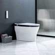 Massage Wash Smart Toilet