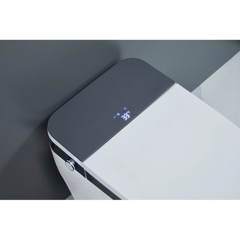 Massage Wash Smart Toilet