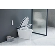 Massage Wash Smart Toilet