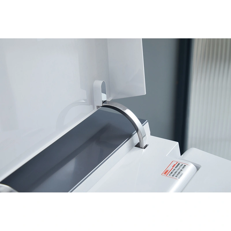 Massage Wash Smart Toilet