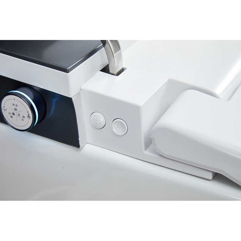 Massage Wash Smart Toilet