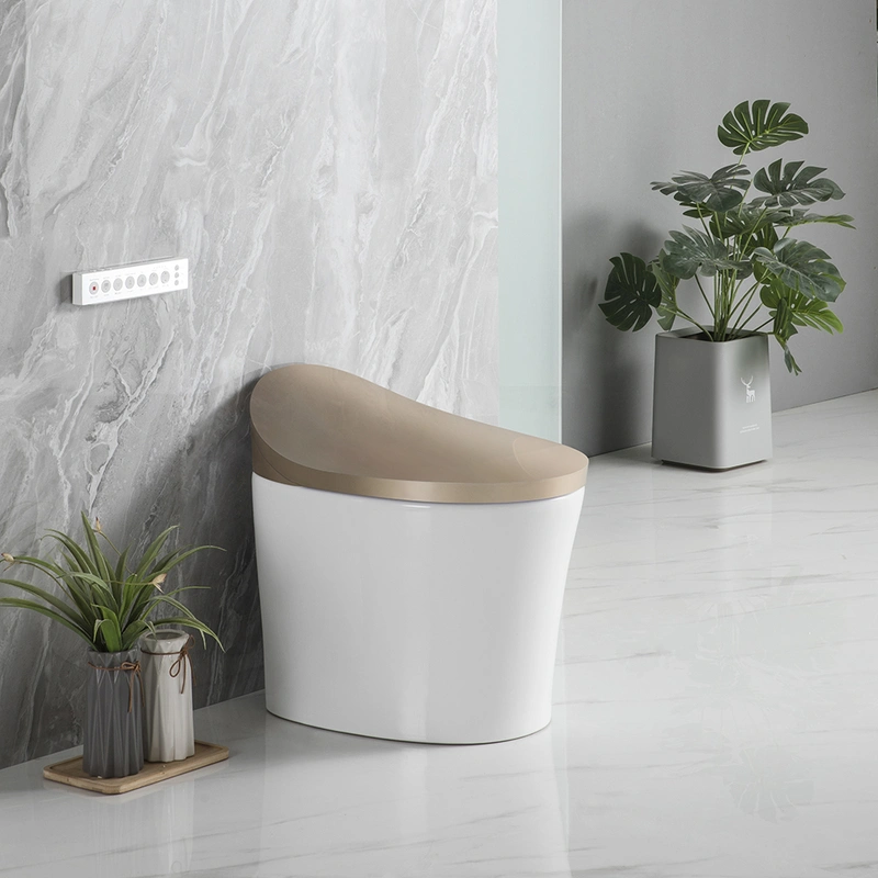 Seat Heating  Smart Toilet