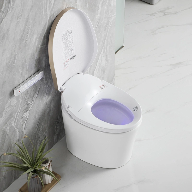 Seat Heating  Smart Toilet