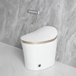 Warm Air Drying  Smart Toilet