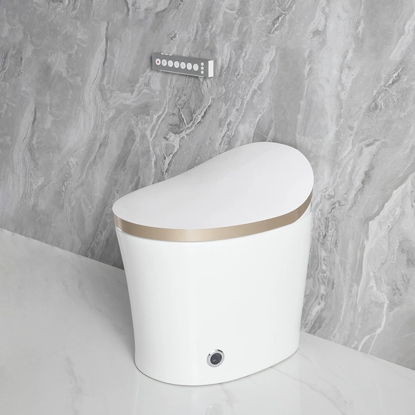 Warm Air Drying  Smart Toilet