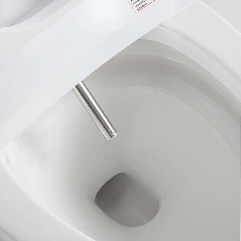 Warm Air Drying  Smart Toilet