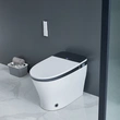 Massage Wash Smart Toilet