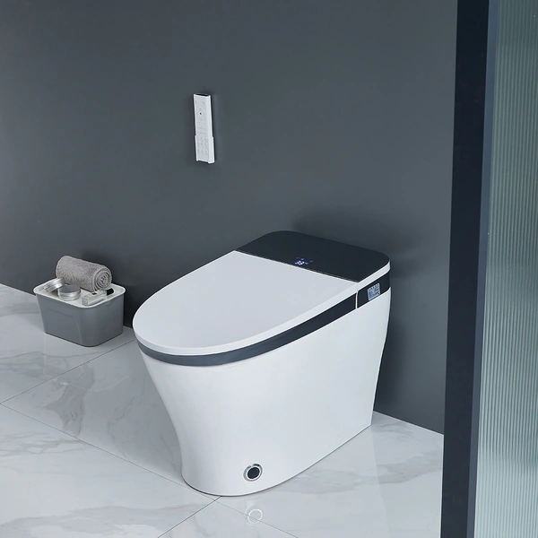 Massage Wash Smart Toilet