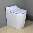 Rimless Back to Wall Toilet for European Market BTW506
