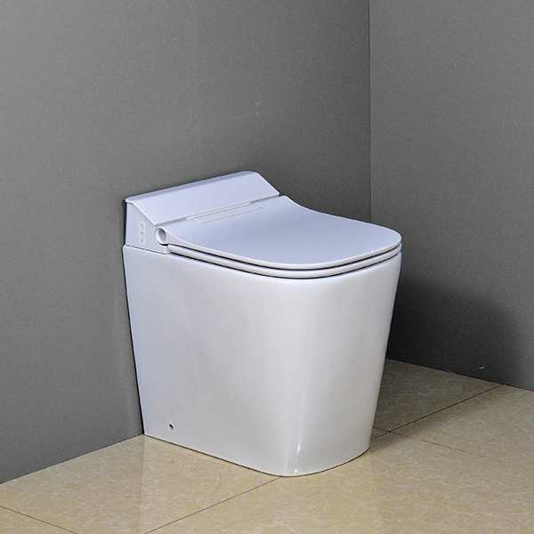 Luxury Back to Wall WC Pan P-Trap BTW603