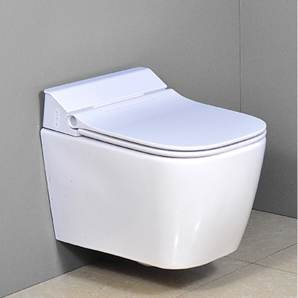 Luxury Wall Mounted WC Pan P-Trap WH603
