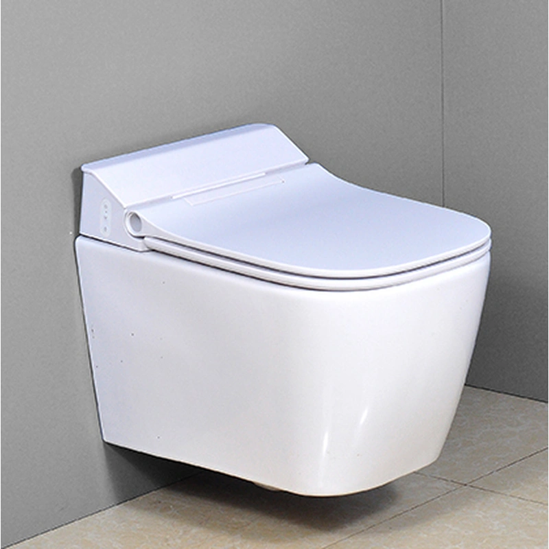 Luxury Wall Mounted WC Pan P-Trap WH603