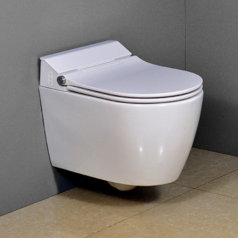 Rimless Back to Wall Toilet for European Market WH506