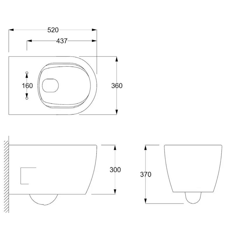 Rimless Back to Wall Toilet for European Market WH506
