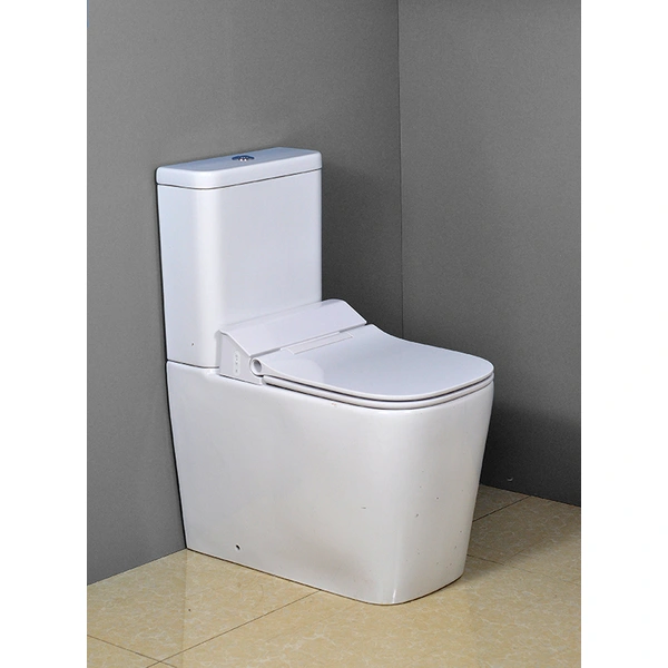 Close Coupled Toilet for European Market CC603