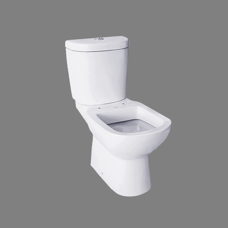 Two-piece Toilet for Washdown Flushing System CC402