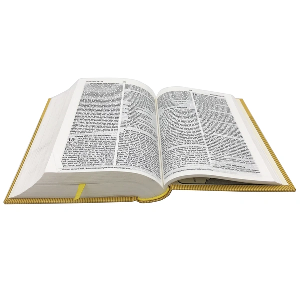 Custom Bible-Book Printing | China