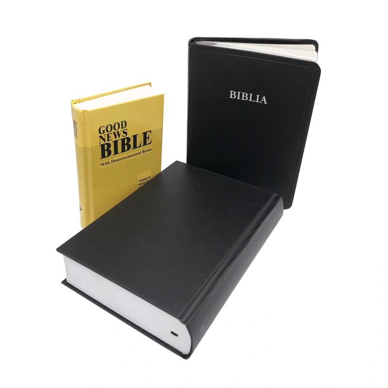 Bible-Bible Printing-Books-Book Printing | China Manufacturer