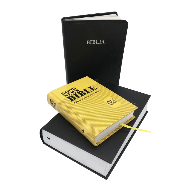 Bible-Bible Printing-Books-Book Printing | China Manufacturer