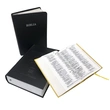 Bible-Bible Printing-Books-Book Printing | China Manufacturer