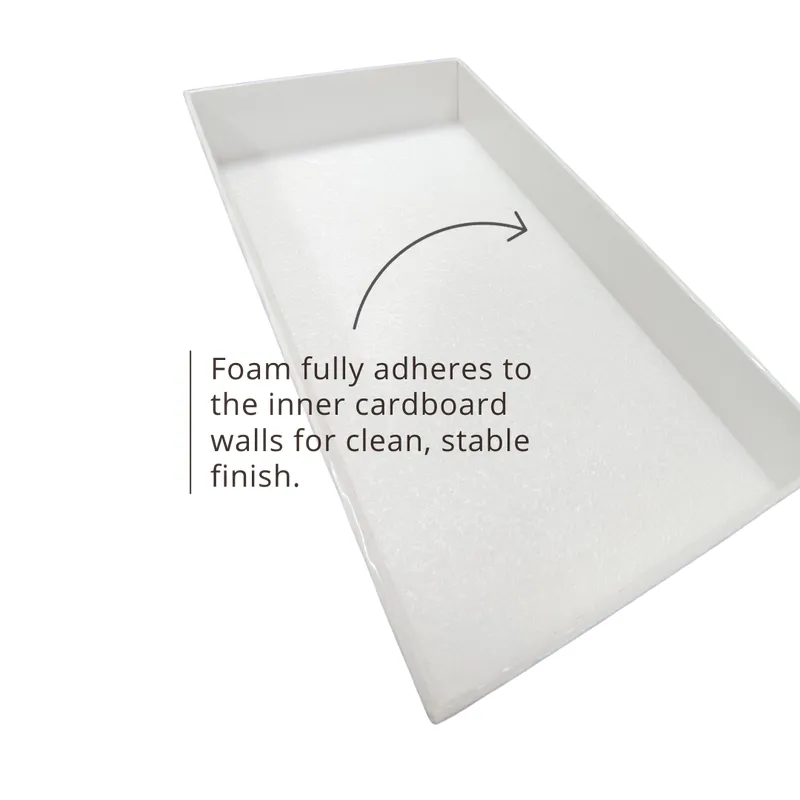 Premium Insect Collection Cardboard Box | Acid-Free Foam | Affordable Price