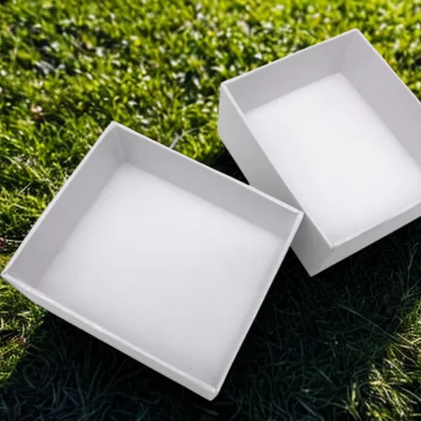 Premium Insect Collection Cardboard Box | Acid-Free Foam | Affordable Price