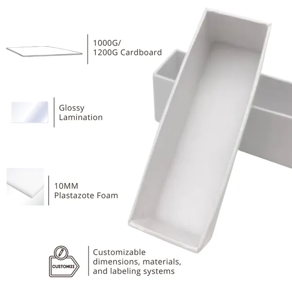 Premium Insect Collection Cardboard Box | Acid-Free Foam | Affordable Price