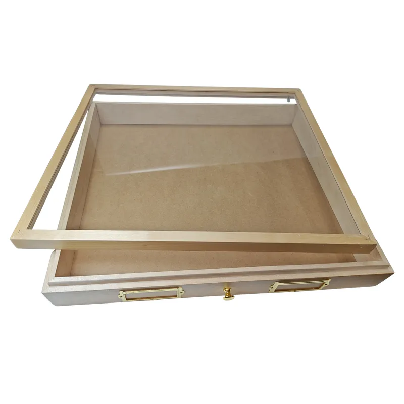 glass-topped insect drawers 