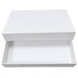 Insect Specimen Shipping & Transportation Boxes | YiYang