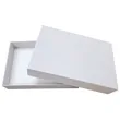 Insect Specimen Shipping & Transportation Boxes | YiYang