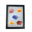 Riker Mount Case for Gems, Fossils & Collectibles | YiYang