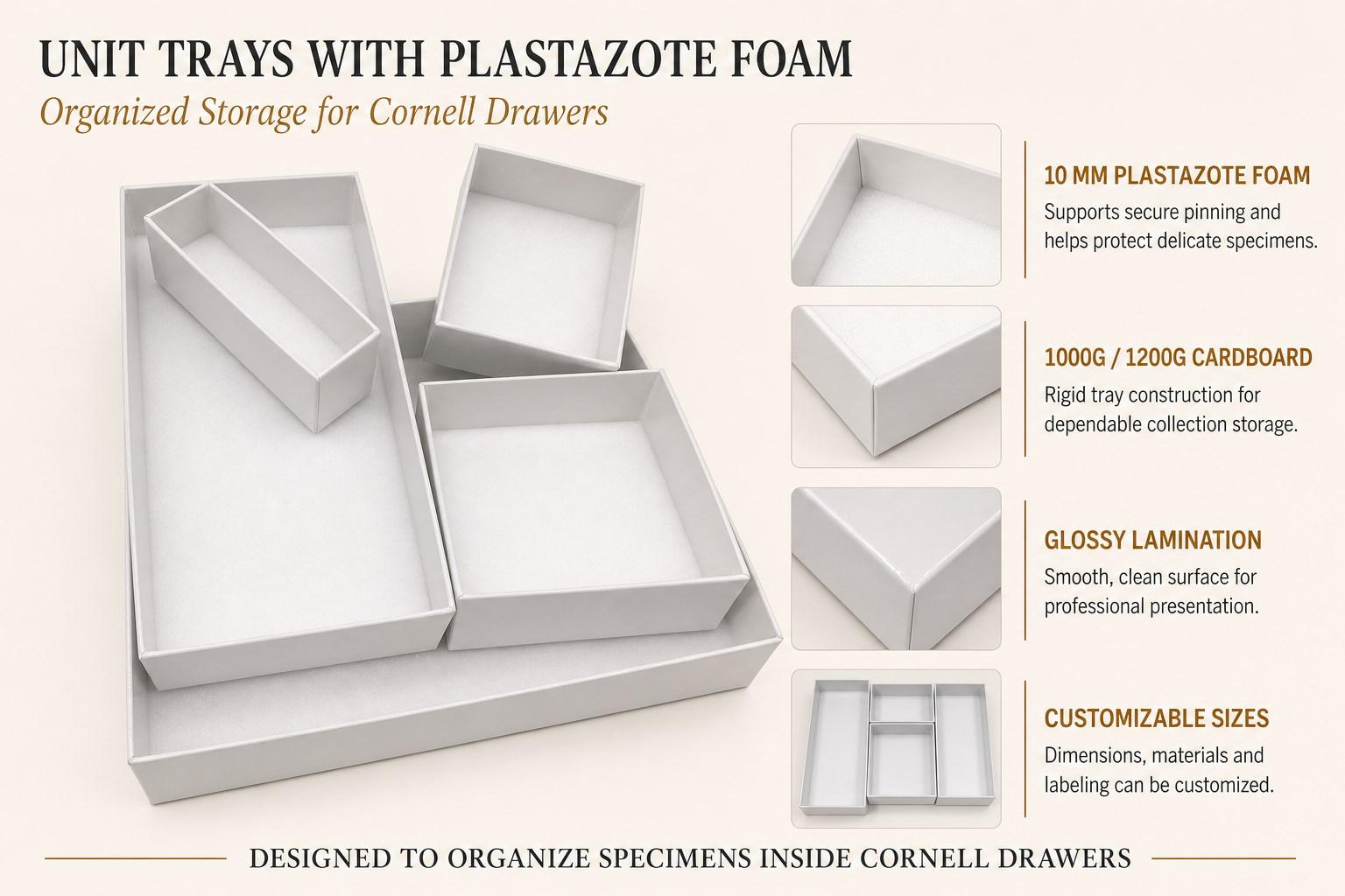 Unit-Trays-with-Plastazote-Foam-Features-Web.jpg