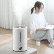 Xiaomi Deerma Air Humidifier F628S