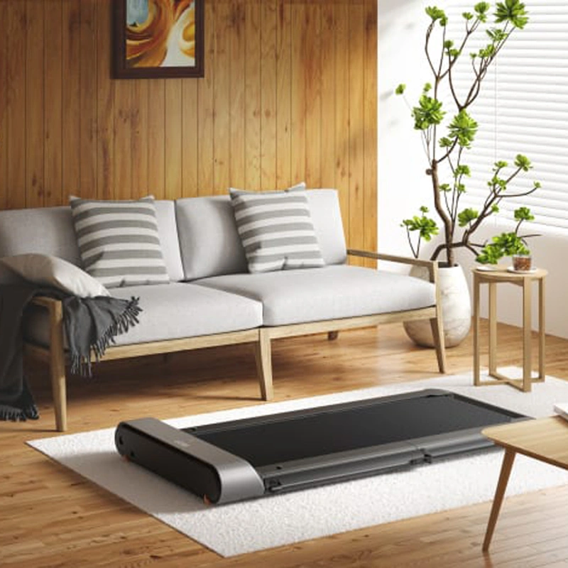 Kingsmith walkingpad R1 Pro folding treadmill  walking and running machine fitness sport with remote control