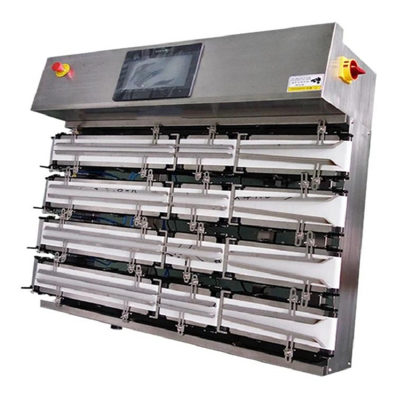 Capsule pill multi-channel inline weighing checkweigher, high-precision inspection check weighing machine Turkey