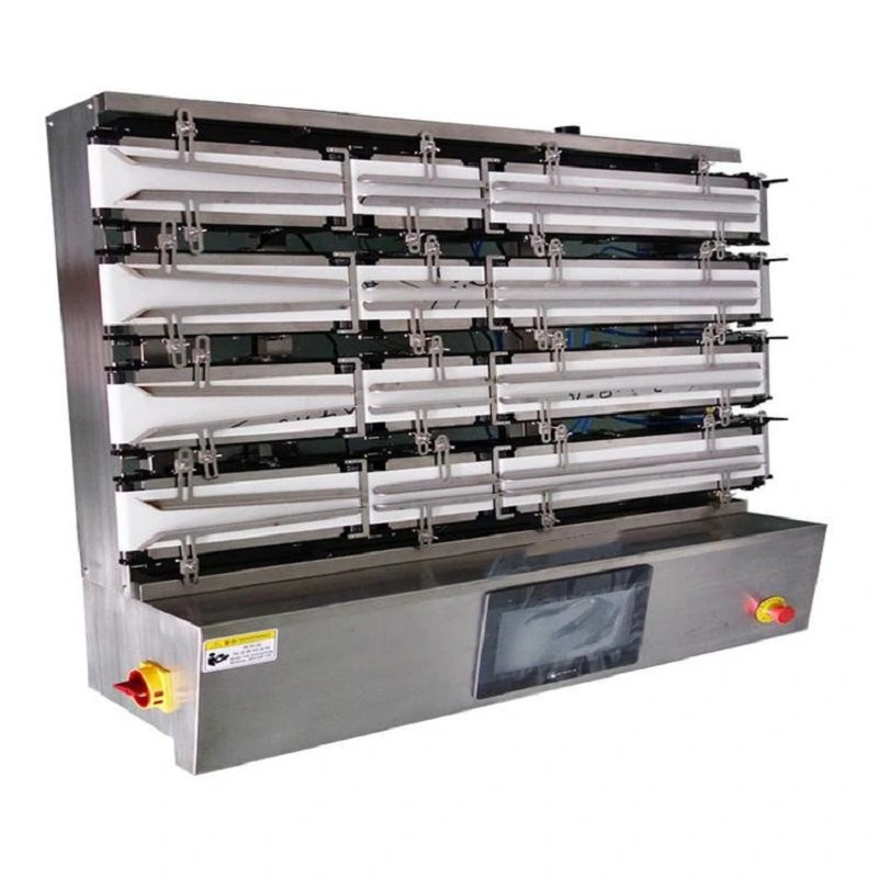 Capsule pill multi-channel inline weighing checkweigher, high-precision inspection check weighing machine Turkey