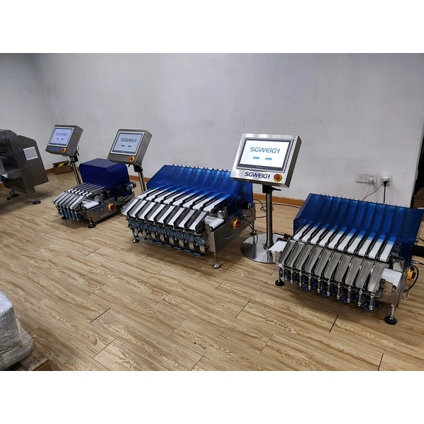 4 레인 중량 검사 다중 레인 중량 선별기 포장기 콤보 자동 컨베이어 라인 중량 선별기 맞춤형