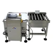 25kg Heavy-Duty Rice Package Checkweigher Conveyor Bulk Bag Checkweighing System