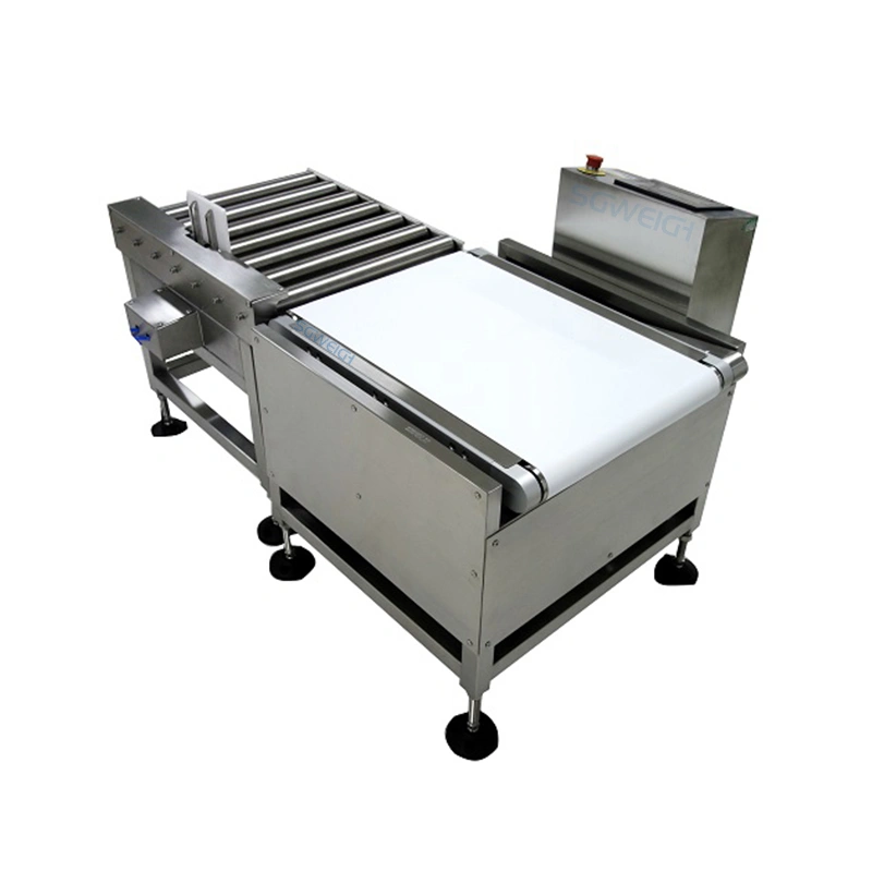 Flour Checkweigher for 50 kg Bagging Line High Precision Food Checkweigher Price