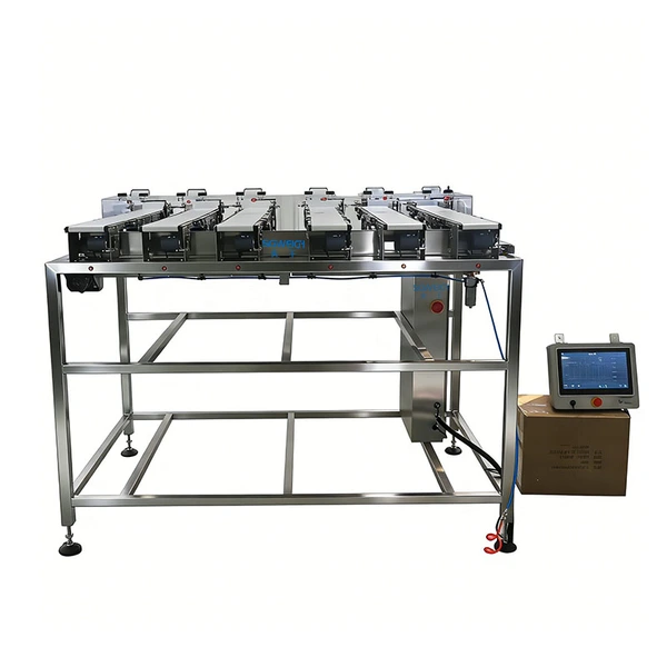 100% Inline Weight Control Multi-Lane Checkweigher Parallel Lane Weight Inspection