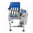 Strip Packs Multi-Lane Checkweigher for Pharmaceutical Online Checkweighing System